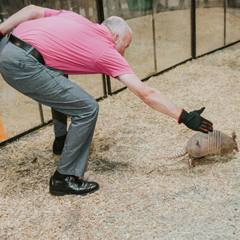 Armadillo race during an event at Imagen Venues in Houston