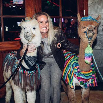 Llamas at Imagen Venues